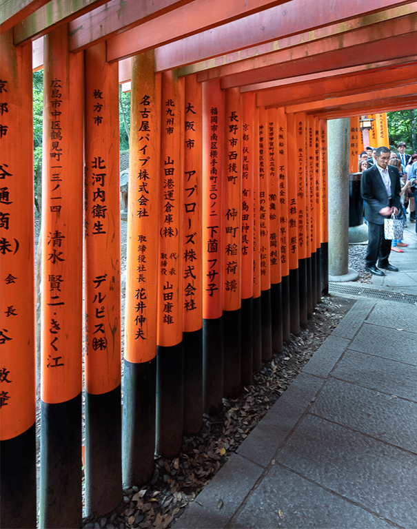 March 2026 - Dr. Isaac Vaisman, APSA, PPSA