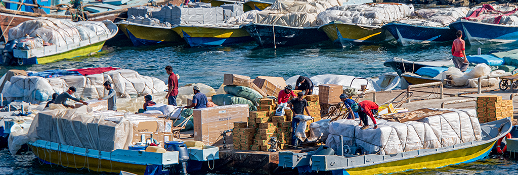 December 2025 - Dr. Isaac Vaisman, APSA, PPSA