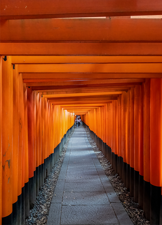 Fushimi Inari Taisha Shrine by Dr. Isaac Vaisman