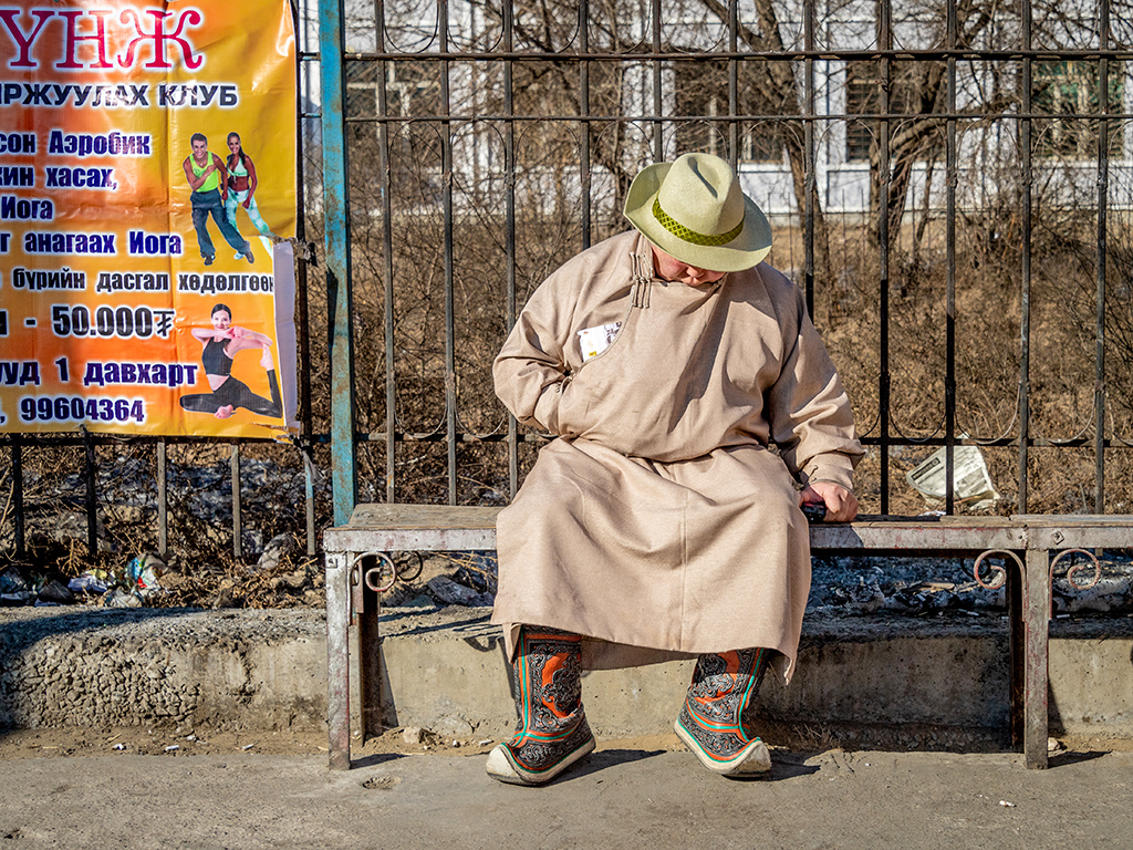 Elegant Mongolian by Dr. Isaac Vaisman