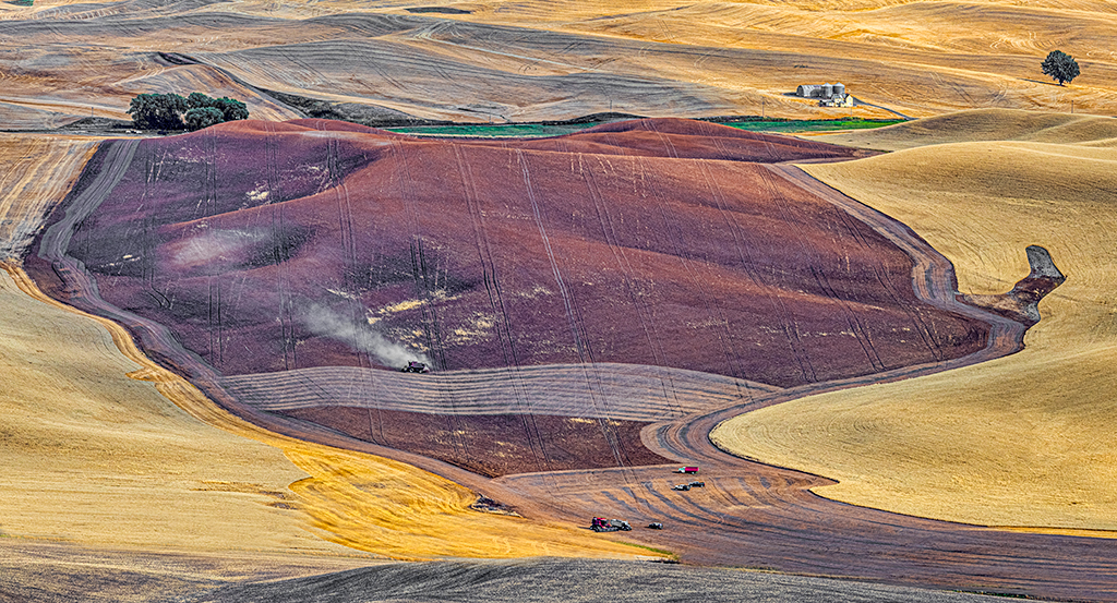 Palouse in the Fall by Dr. Isaac Vaisman, PPSA