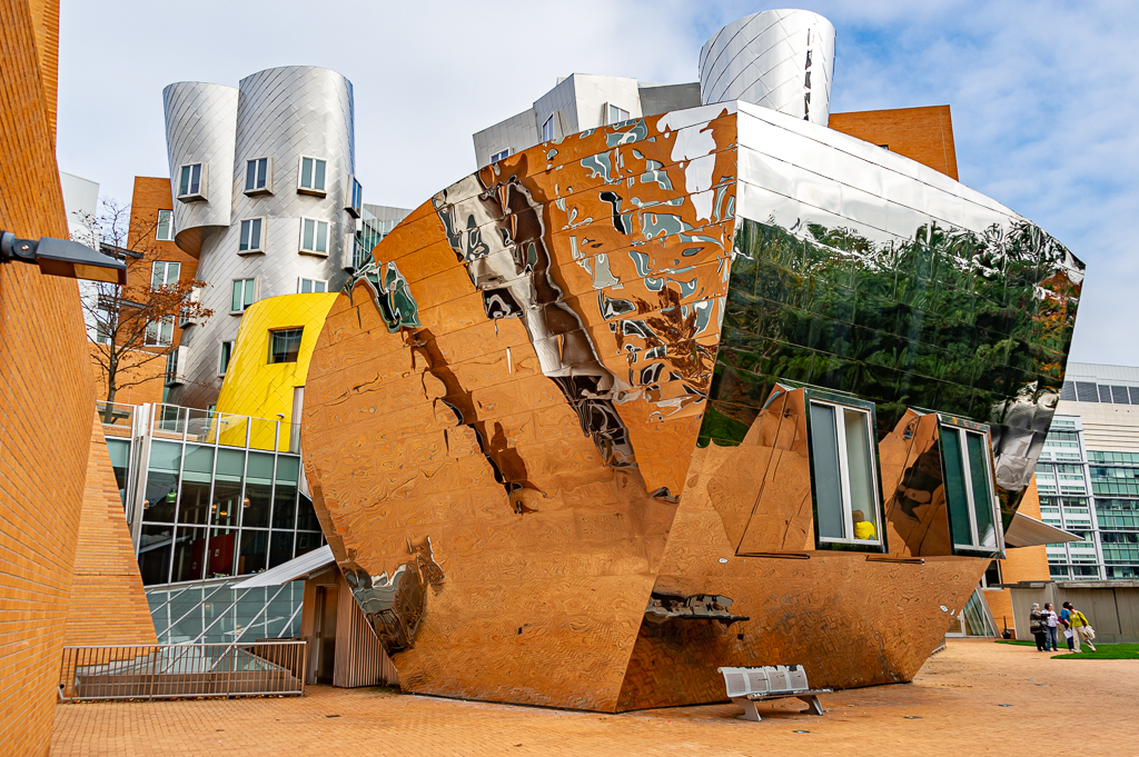 Stata Center by Dr. Isaac Vaisman, APSA, PPSA