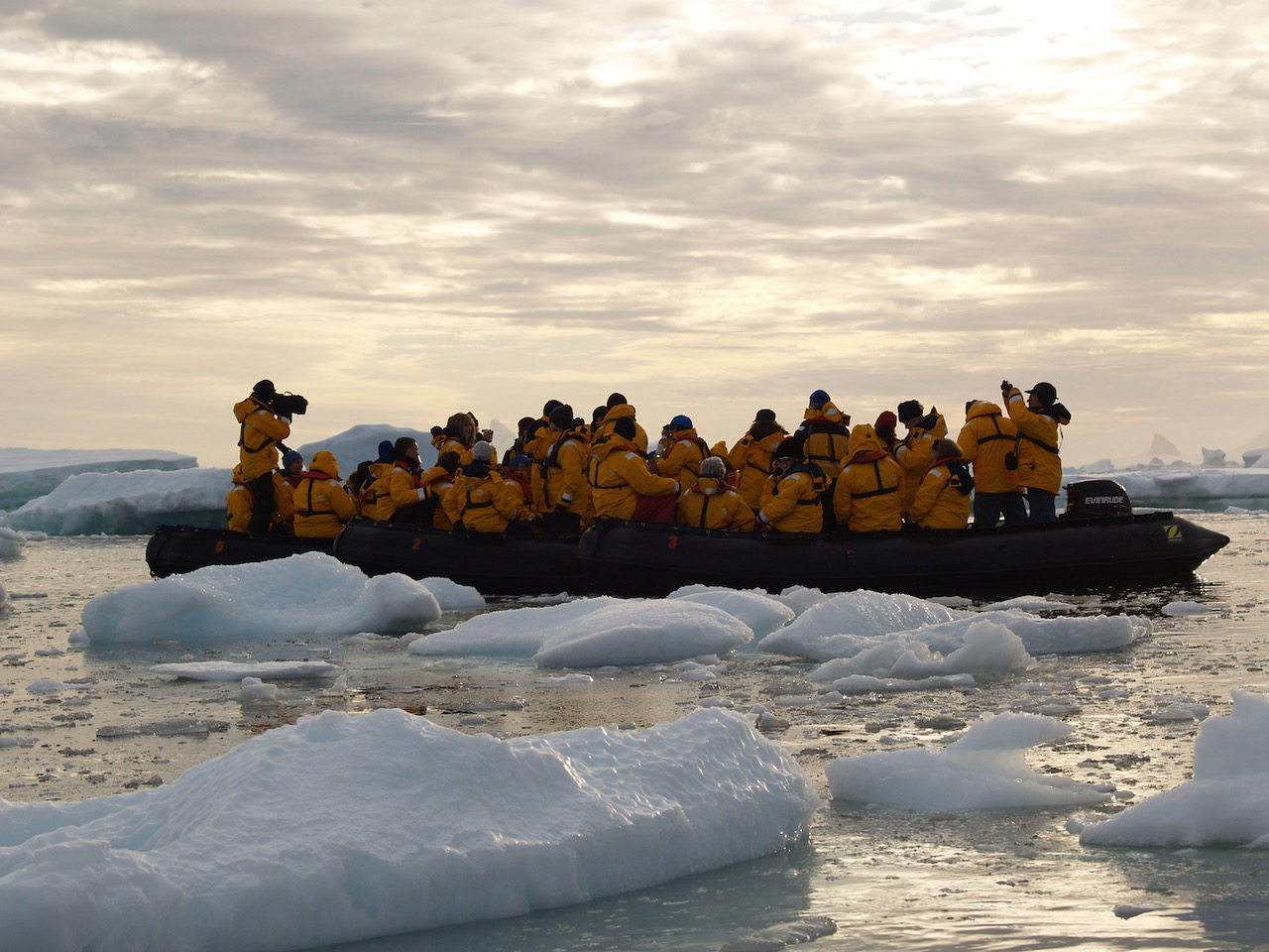 Antarctic by Alan Lichtenstein