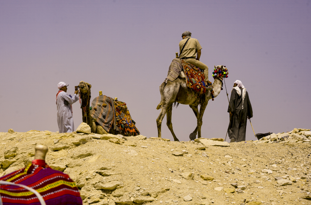 Giza Camel Stop by Phyllis Peterson