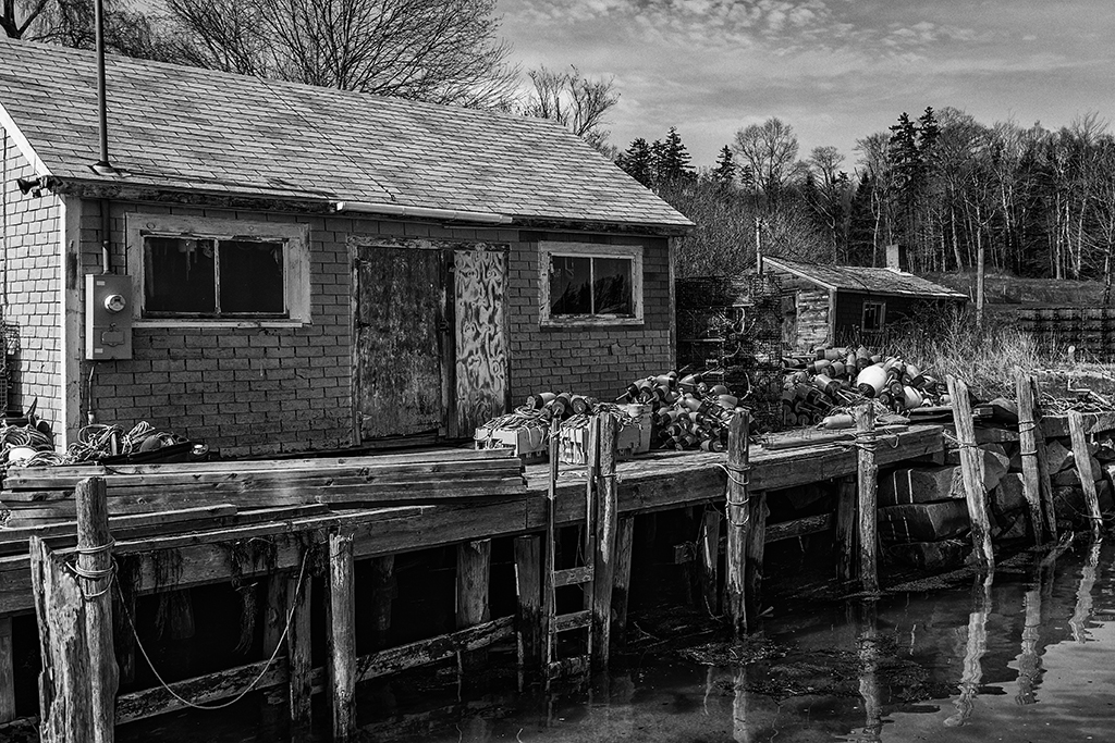 Closed for the Season by Carolyn Todd-Larson