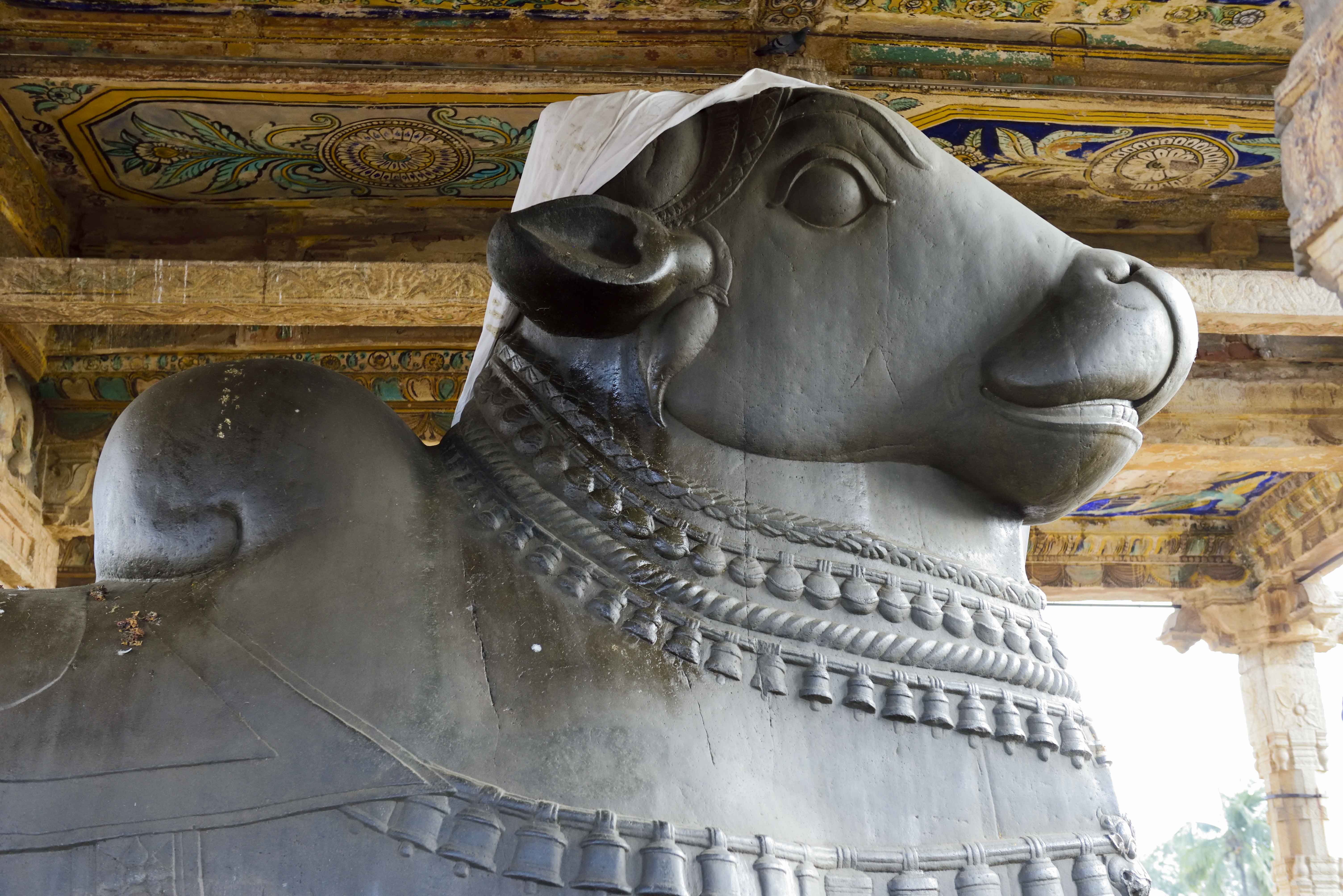 Statue of Nandi at Brihadeeswara temple, Tanjore by Pinaki Sarkar