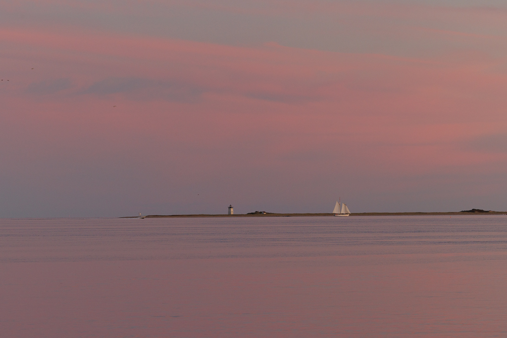 Sunset Sailing by Gloria Grandolini